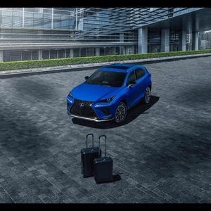 Lexus limited black line suitcase